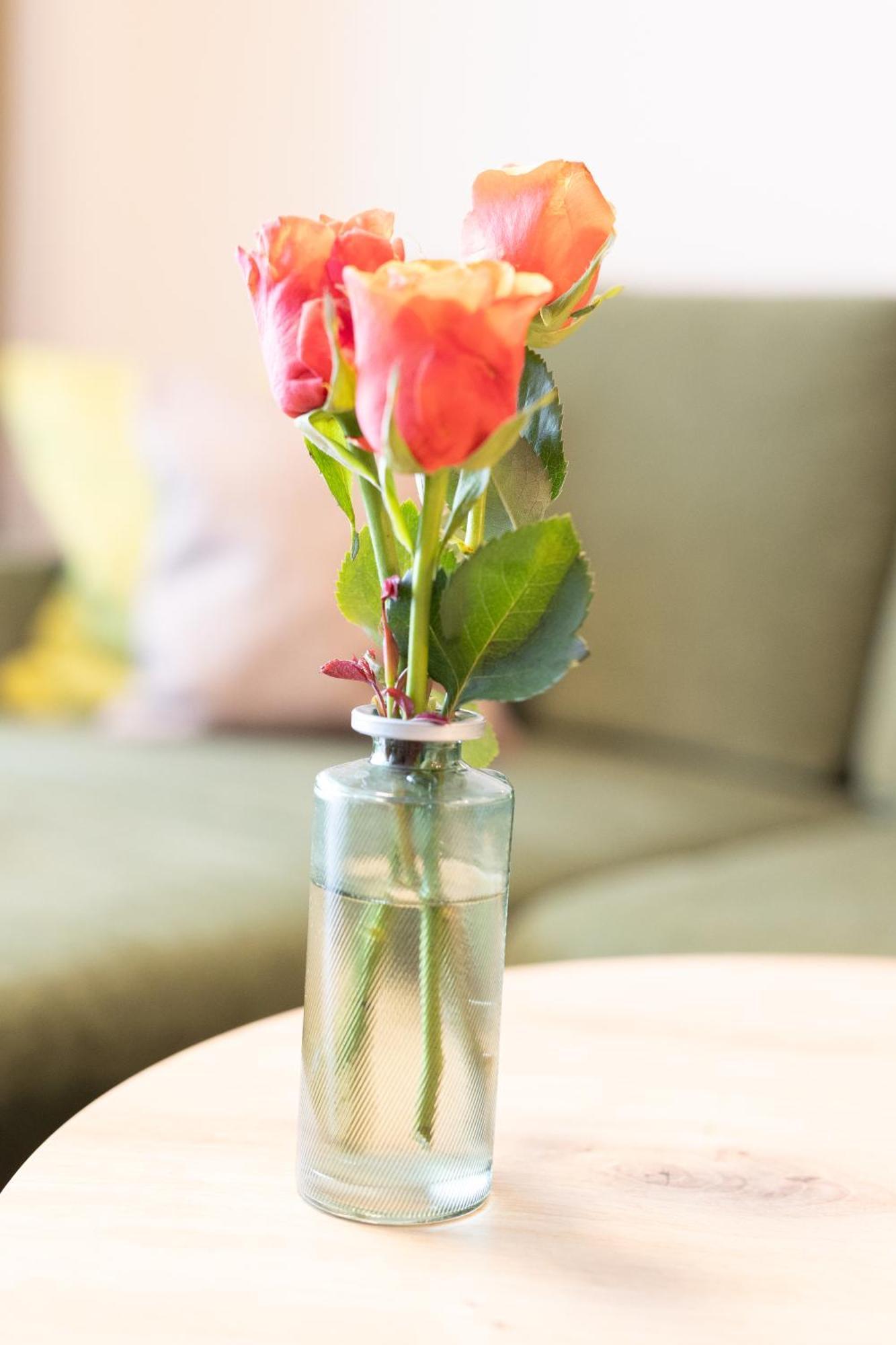 Appartementdeluxe Steiert - Near Europa Park - Rulantica - Spacious - Fully Equipped Kitchen - Private Garden - Free Parking - Pet Friendly Шванау Экстерьер фото